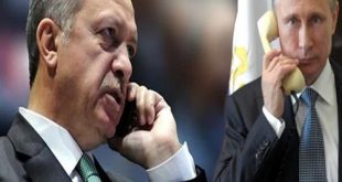 أردوغان يبحث هاتفيا مع بوتين الوضع في أوكرانيا