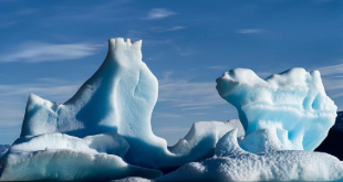 اكتشاف أكثر من 900 ميكروب محبوسة في الجليد