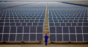 الكهرباء تعلن بدء المراحل الأولية لإنشاء محطات الطاقة الشمسية