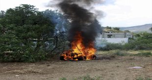 فلسطين : مستوطنون يحرقون 150 دونما من الاراضي الزراعية المثمرة غرب بيت لحم